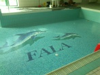 basen - fala
